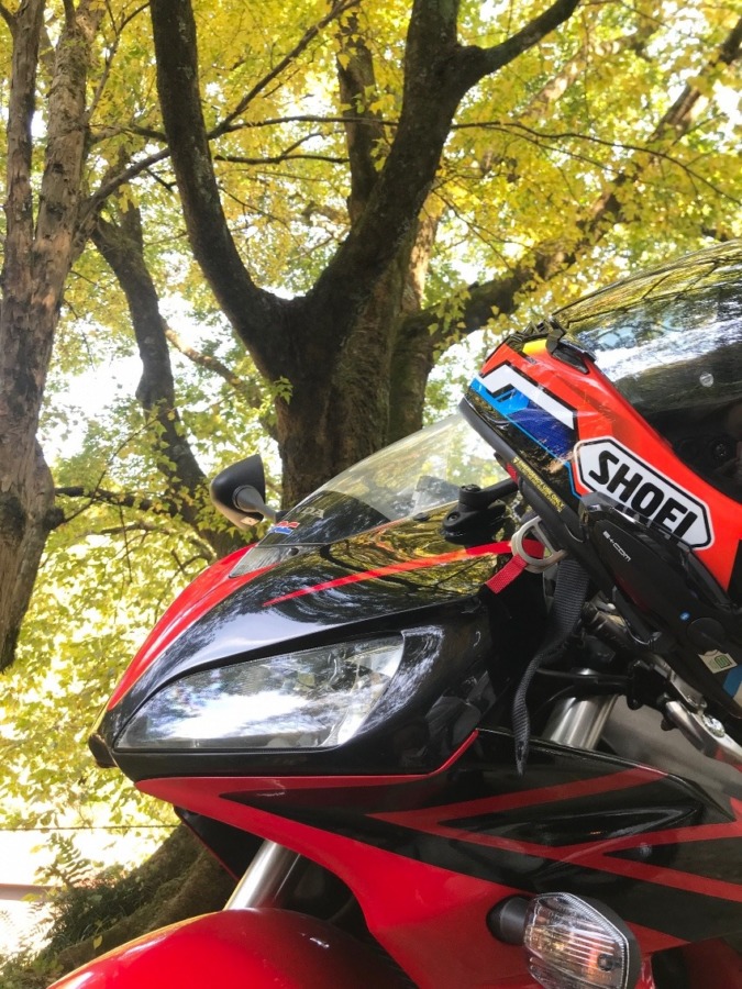 秋と紅葉と美味しいものツーリング