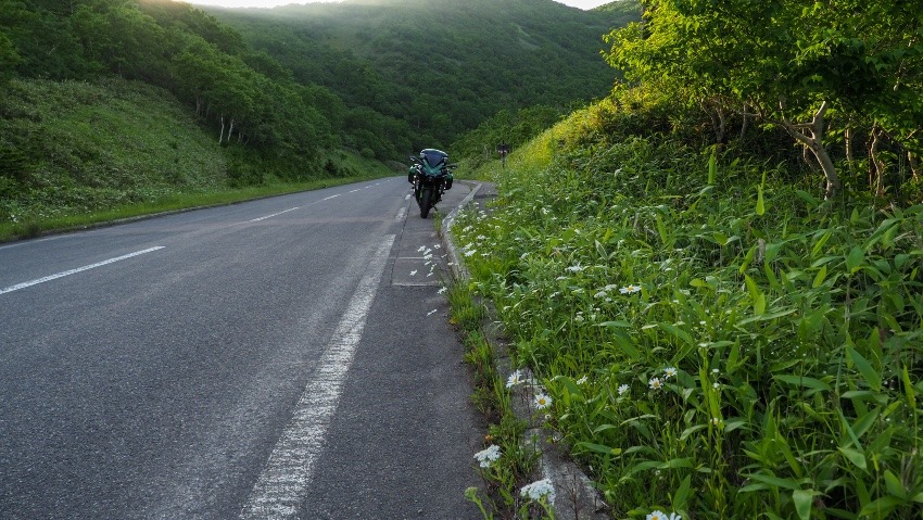 初の夏北海道、絶景を求めて　ー前半ー