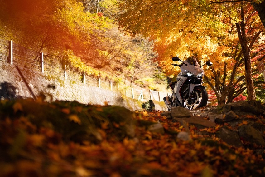 紅葉ツーリングなら 岩屋ダム 馬瀬 せせらぎ街道がおすすめ Ride Mate