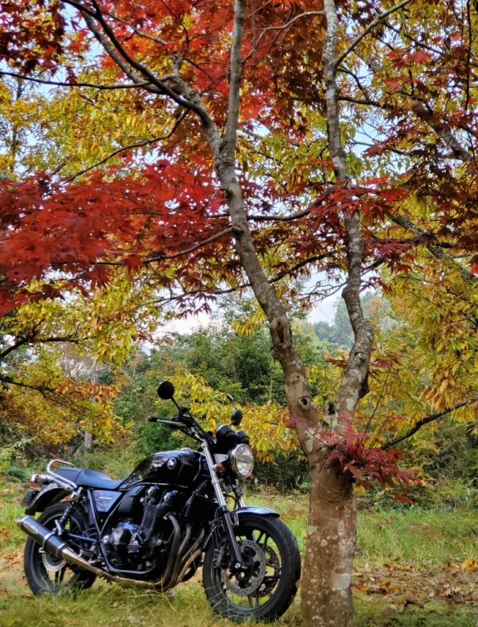 11月8日🏍️